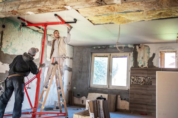 Best Residential Insulation in Spring Ridge, MD